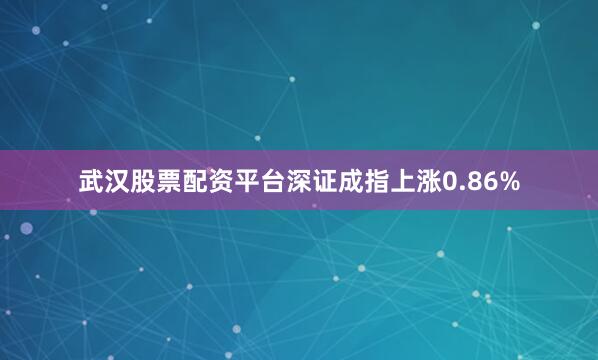 武汉股票配资平台深证成指上涨0.86%