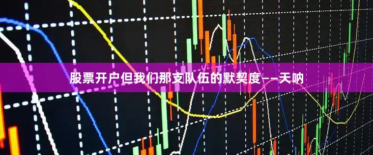股票开户但我们那支队伍的默契度——天呐