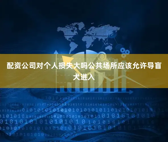配资公司对个人损失大吗公共场所应该允许导盲犬进入